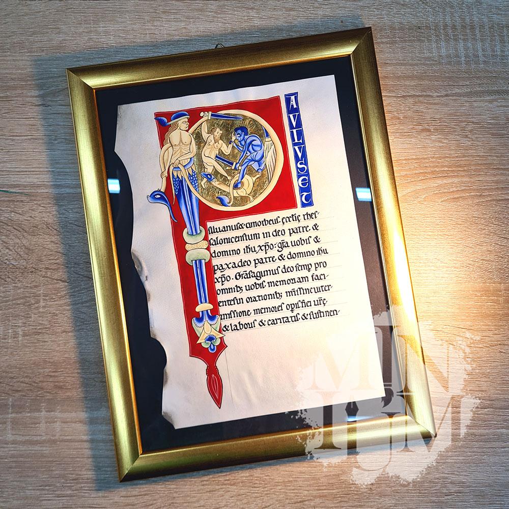 Sezione Biblia Sacra