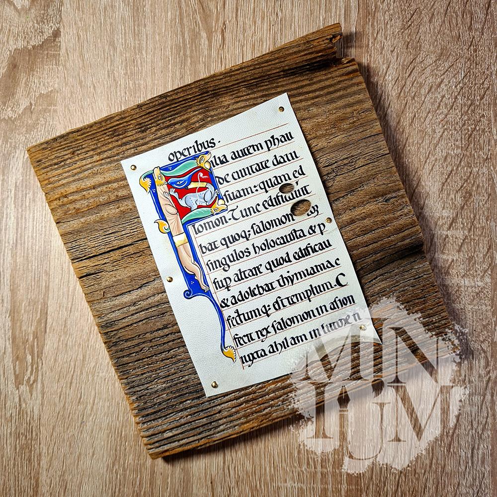 Capolettera F - Bible de Saint-AndrΓ©-au-Bois