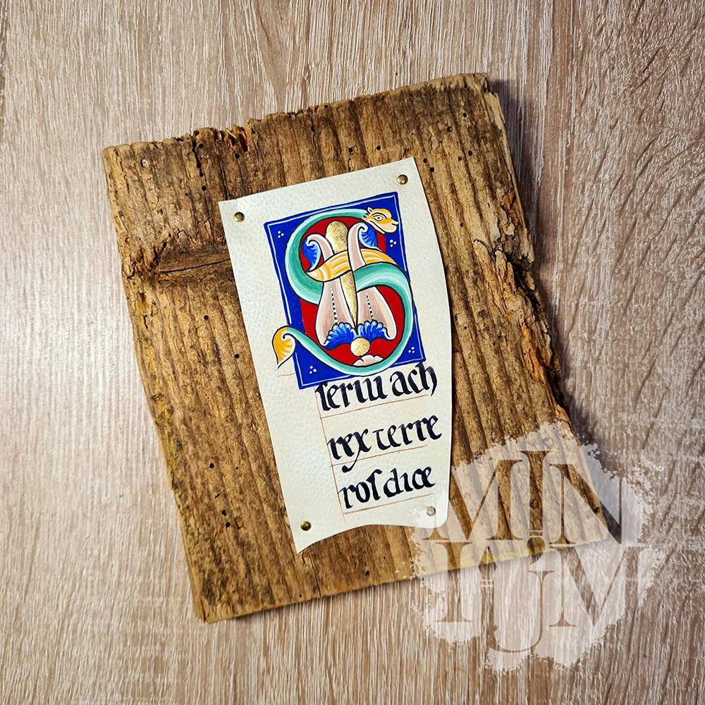 Capolettera S - Bible de Saint-AndrΓ©-au-Bois