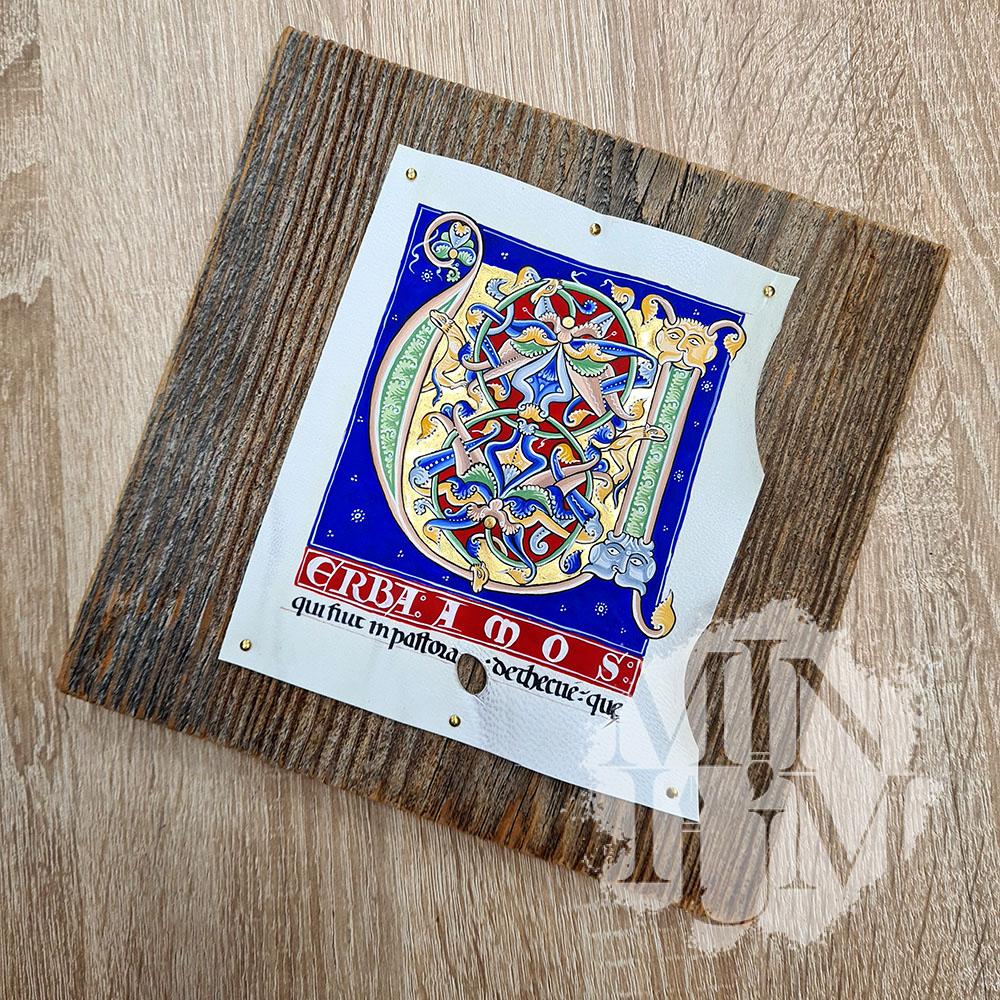 Capolettera V - Bible de Saint-André-au-Bois